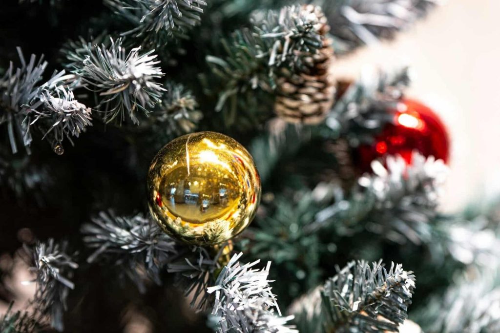 What Are Christmas Minis